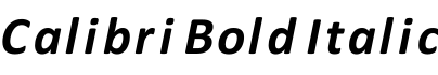 Calibri Bold Italic预览字体图片