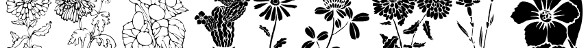 DT Flowers 1字体预览图