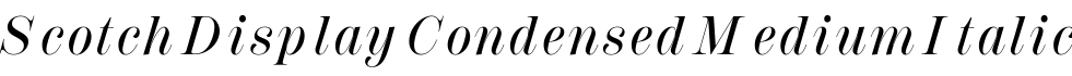 Scotch Display Condensed Medium Italic字体预览图