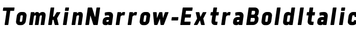 TomkinNarrow-ExtraBoldItalic预览字体图片