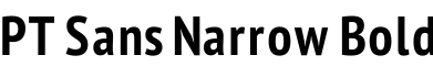 PT Sans Narrow Bold字体预览图