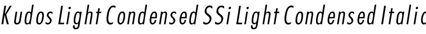 Kudos Light Condensed SSi Light Condensed Italic字体预览