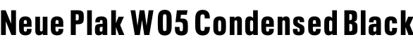 Neue Plak W05 Condensed Black字体预览
