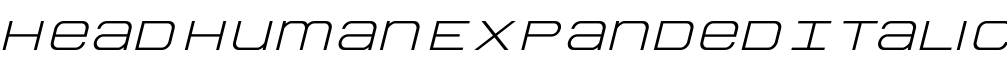 Head Human Expanded Italic字体预览图