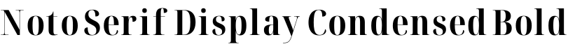 Noto Serif Display Condensed Bold字体预览