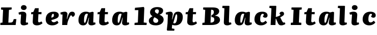 Literata 18pt Black Italic字体预览图