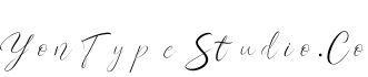 YonTypeStudio.Co字体预览