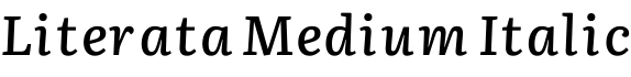 Literata Medium Italic字体预览