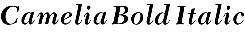 Camelia Bold Italic预览字体图片
