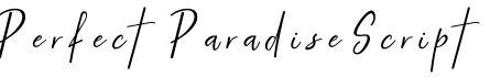 Perfect Paradise Script字体预览图