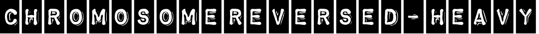 ChromosomeReversed-Heavy字体预览图