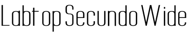 Labtop Secundo Wide字体预览