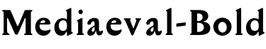 Mediaeval-Bold预览字体图片