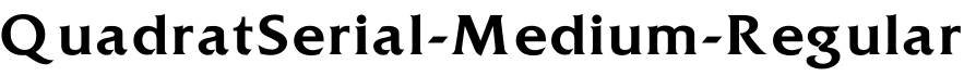 QuadratSerial-Medium-Regular字体预览图
