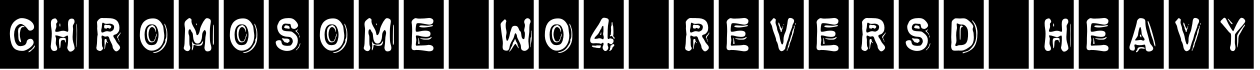 Chromosome W04 Reversd Heavy字体预览图