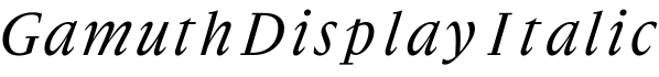 Gamuth Display Italic预览字体图片