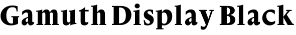 Gamuth Display Black预览字体图片