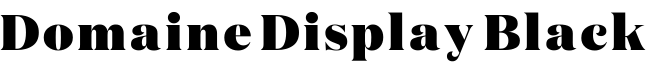 Domaine Display Black字体预览图