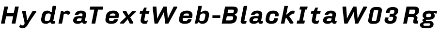 HydraTextWeb-BlackIta W03 Rg字体预览图