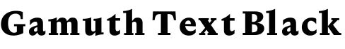 Gamuth Text Black预览字体图片