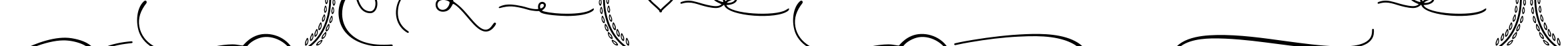 Platipus Ornaments字体预览图