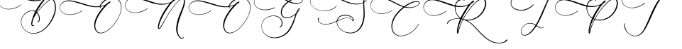 DONOG SCRIPT字体预览