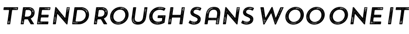 Trend Rough Sans W00 One It字体预览图