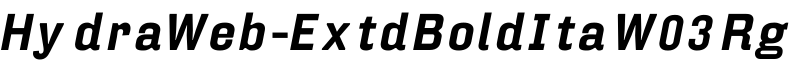 HydraWeb-ExtdBoldIta W03 Rg字体预览图