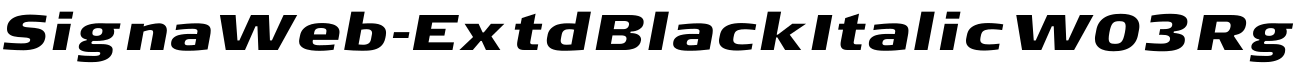 SignaWeb-ExtdBlackItalic W03 Rg字体预览图