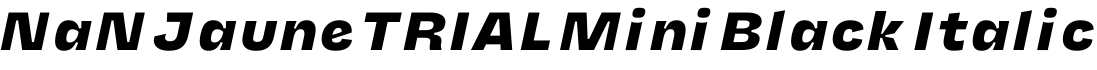 NaN Jaune TRIAL Mini Black Italic字体预览图