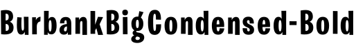 BurbankBigCondensed-Bold字体预览图