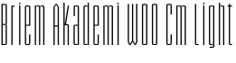 Briem Akademi W00 Cm Light字体预览图