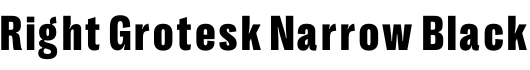 Right Grotesk Narrow Black预览字体图片