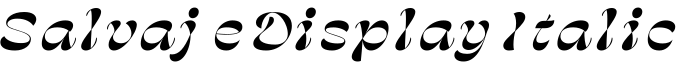Salvaje Display Italic字体预览