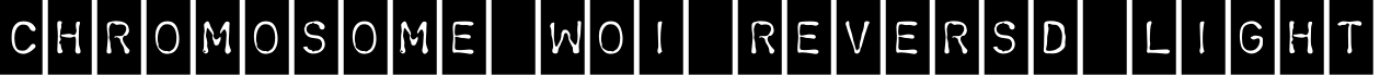 Chromosome W01 Reversd Light字体预览图