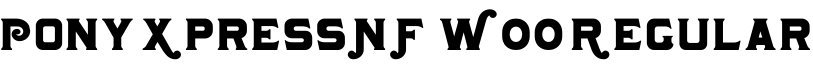 Pony Xpress NF W00 Regular字体预览图