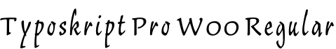 Typoskript Pro W00 Regular字体预览图