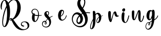 Rose Spring字体预览图