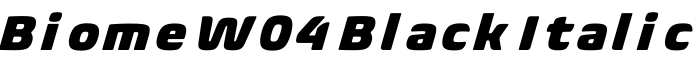 Biome W04 Black Italic字体预览图