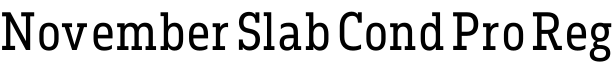 November Slab Cond Pro Reg字体预览图