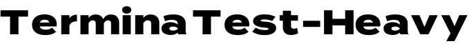 Termina Test-Heavy字体预览