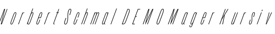 Norbert Schmal DEMO Mager Kursiv预览字体图片