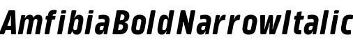 Amfibia Bold Narrow Italic字体预览图