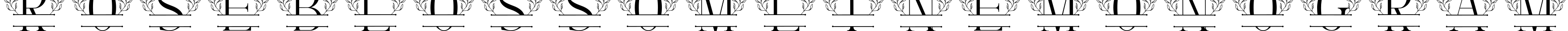 Rose Blossom Line Monogram字体预览图