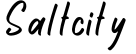 Saltcity字体预览