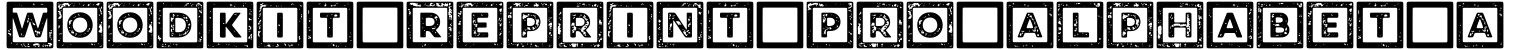 Woodkit Reprint Pro Alphabet A字体预览图