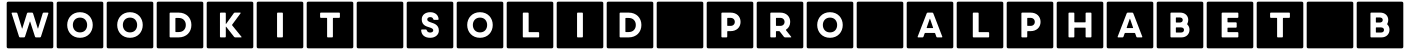 Woodkit Solid Pro Alphabet B字体预览图