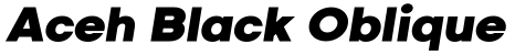Aceh Black Oblique预览图片