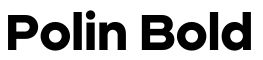 Polin Bold预览字体图片