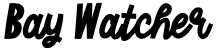 Bay Watcher字体预览图